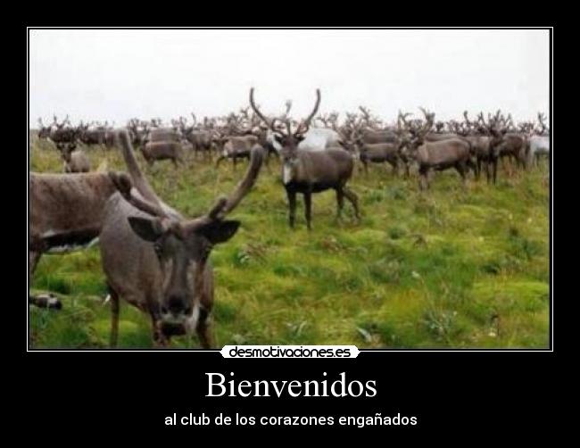 carteles desmotivaciones