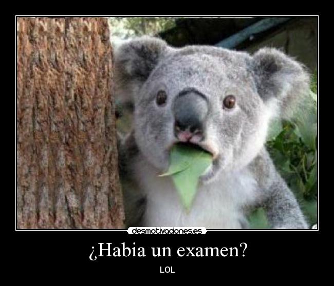 ¿Habia un examen? - 