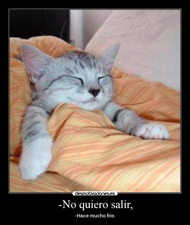 -No quiero salir, -