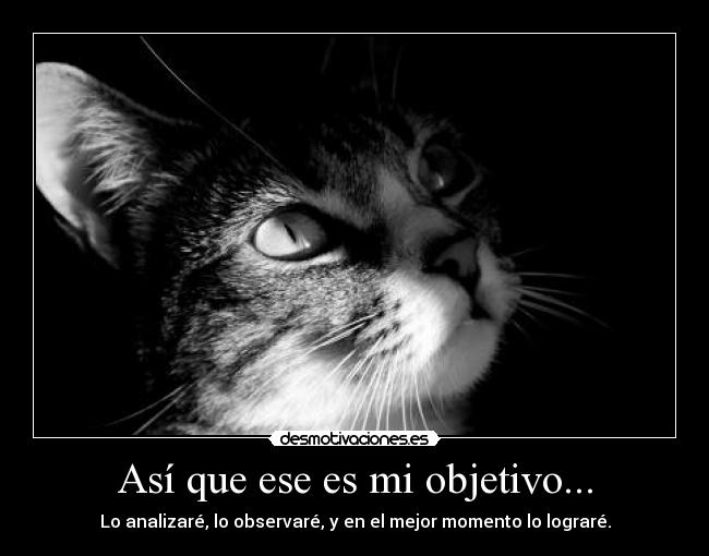 Así que ese es mi objetivo... -