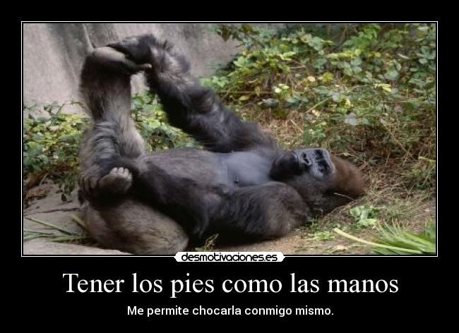 carteles las ardillas molan desmotivaciones