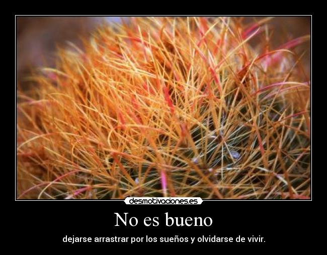 No es bueno - dejarse arrastrar por los sueños y olvidarse de vivir.