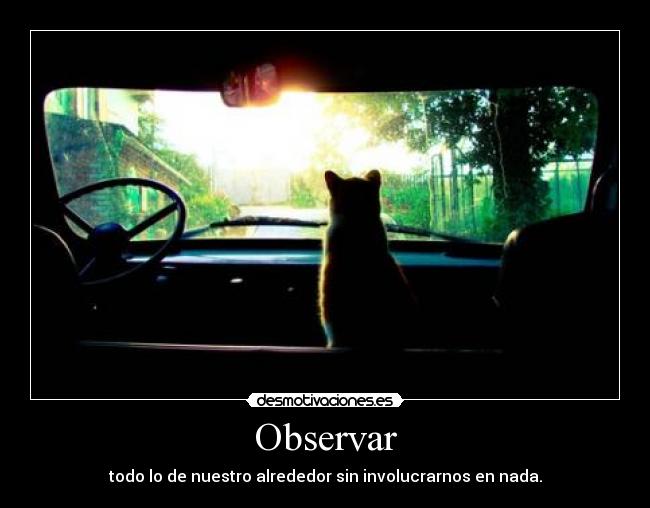 Observar - todo lo de nuestro alrededor sin involucrarnos en nada.