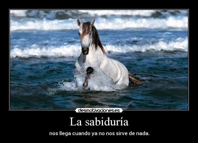 carteles omite2 desmotivaciones