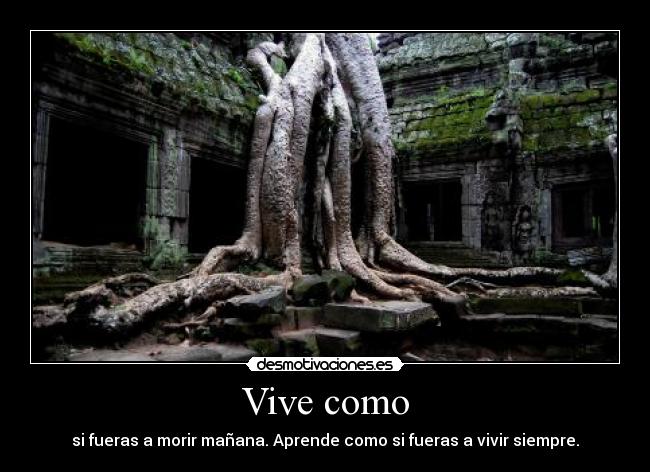 Vive como - si fueras a morir mañana. Aprende como si fueras a vivir siempre.