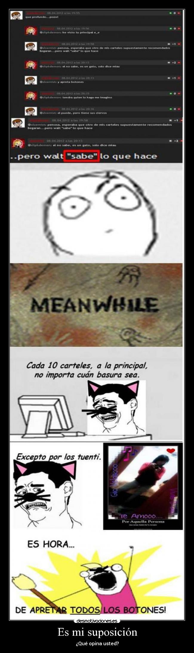 Es mi suposición - ¿Qué opina usted?