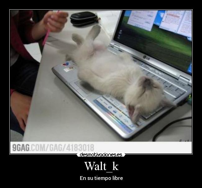 Walt_k -