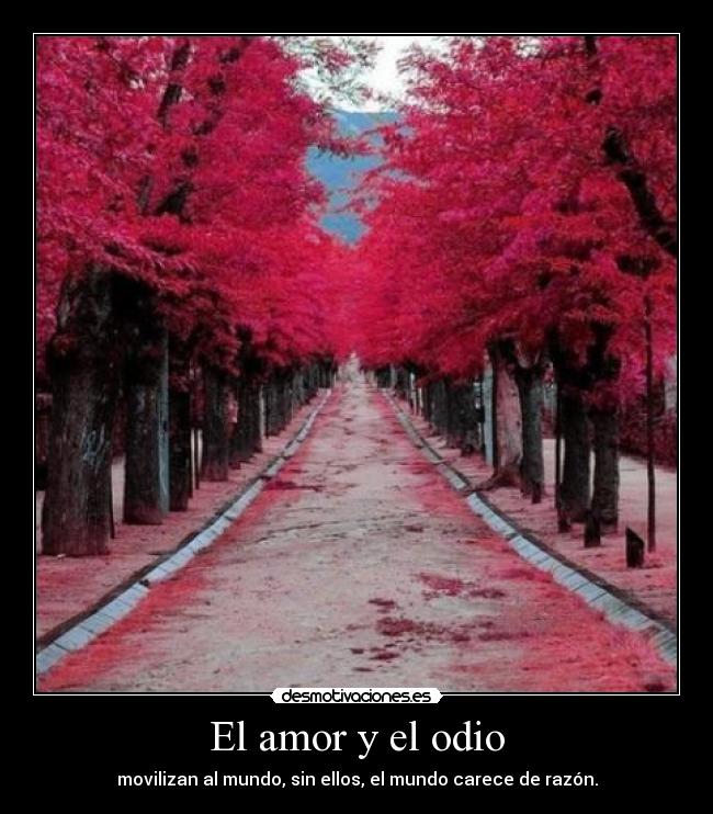 El amor y el odio - 