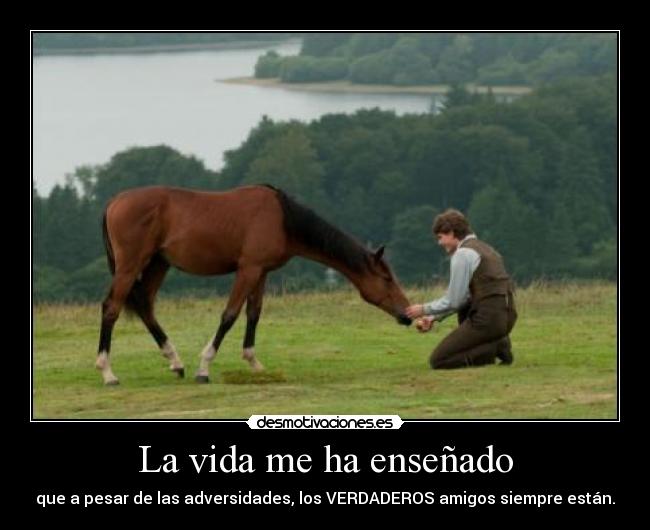 carteles vida vida ensenado desmotivaciones