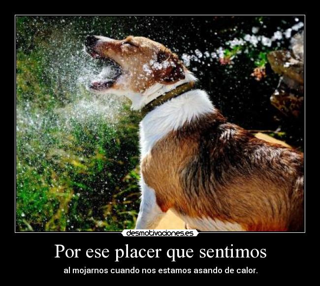 Por ese placer que sentimos - 