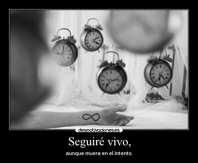 imagenes reflexivas imagenes reflexivas
