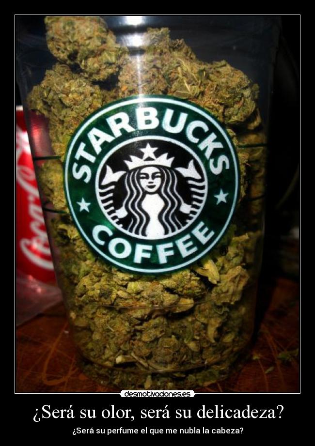 ¿Será su olor, será su delicadeza? -