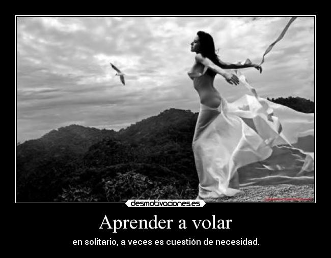Aprender a volar -