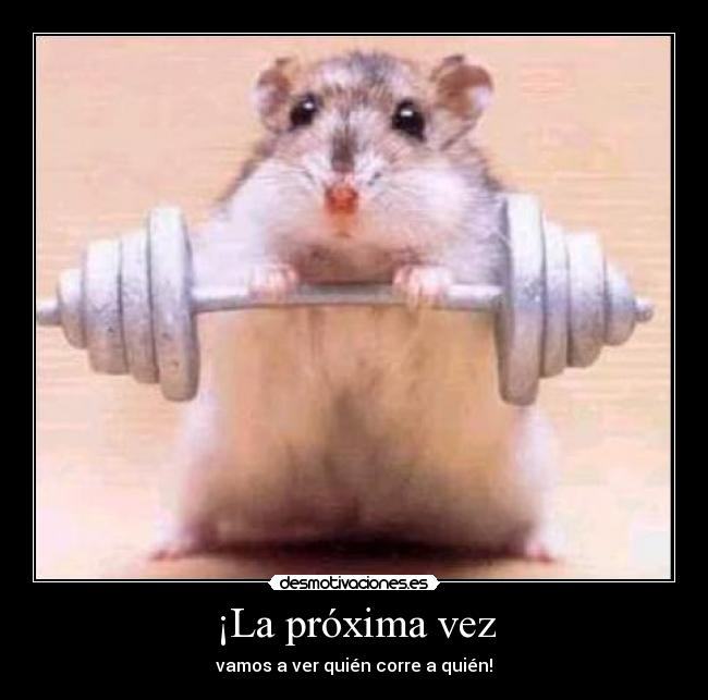 ¡La próxima vez - vamos a ver quién corre a quién!