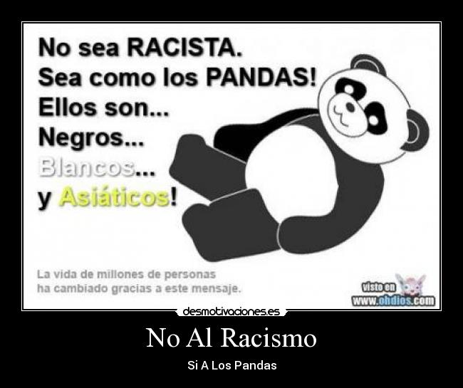 No Al Racismo - Si A Los Pandas