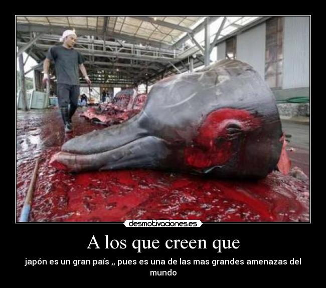 A los que creen que -