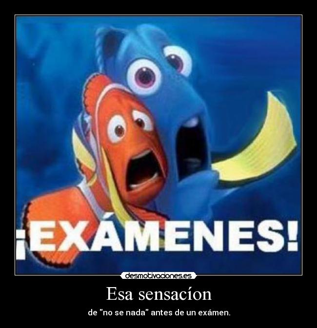 Esa sensacíon - de no se nada antes de un exámen.