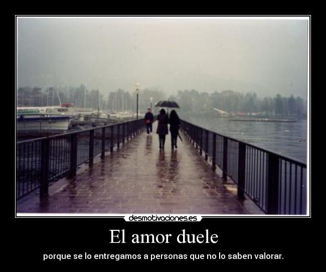 El amor duele - 