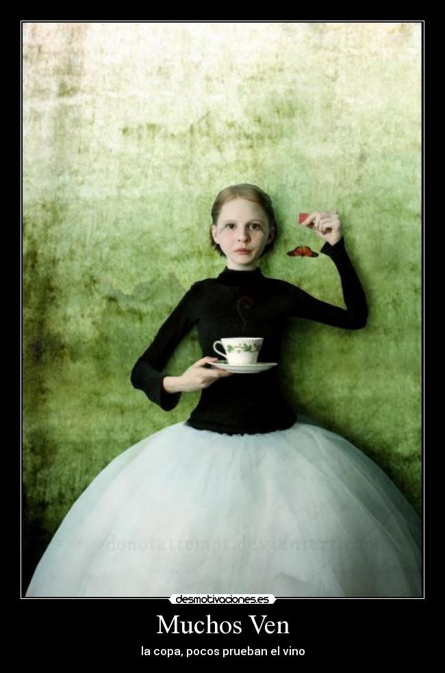 carteles reflexion reflexion apariencias fisico fisico desmotivaciones