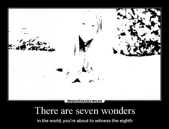 There are seven wonders - in the world, youre about to witness the eighth