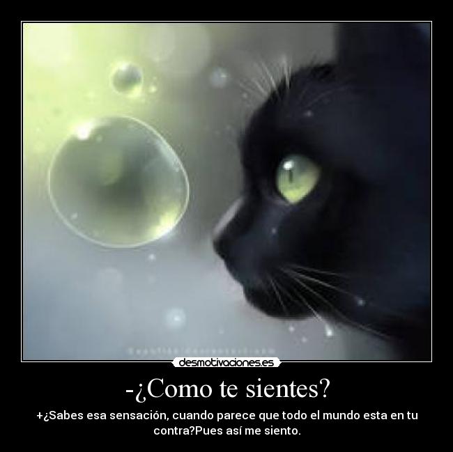 -¿Como te sientes? - 