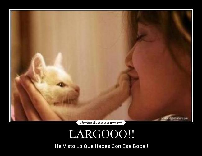 LARGOOO!! - 
