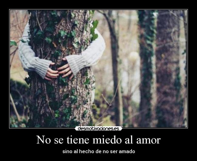 No se tiene miedo al amor -