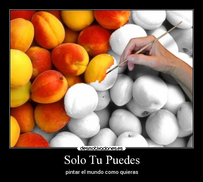 Solo Tu Puedes - pintar el mundo como quieras