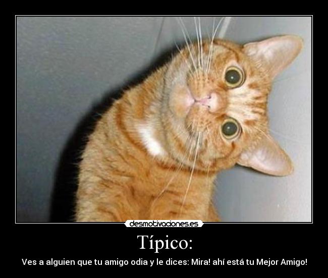 Típico: - Ves a alguien que tu amigo odia y le dices: Mira! ahí está tu Mejor Amigo!