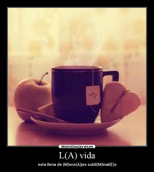 carteles vida anaya515 desmotivaciones