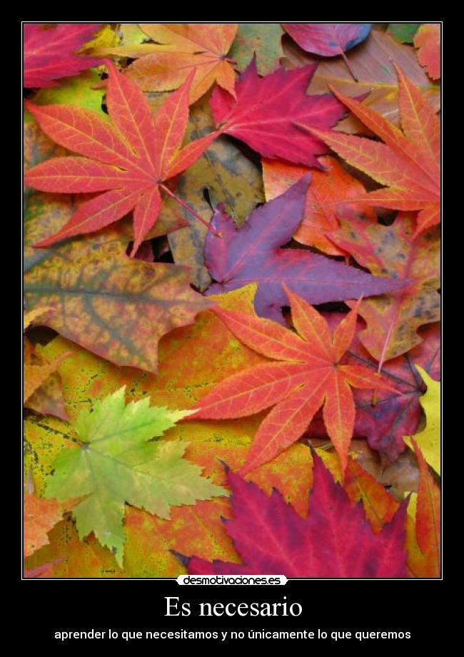 Es necesario - aprender lo que necesitamos y no únicamente lo que queremos