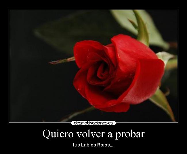 carteles frases amor desmotivaciones