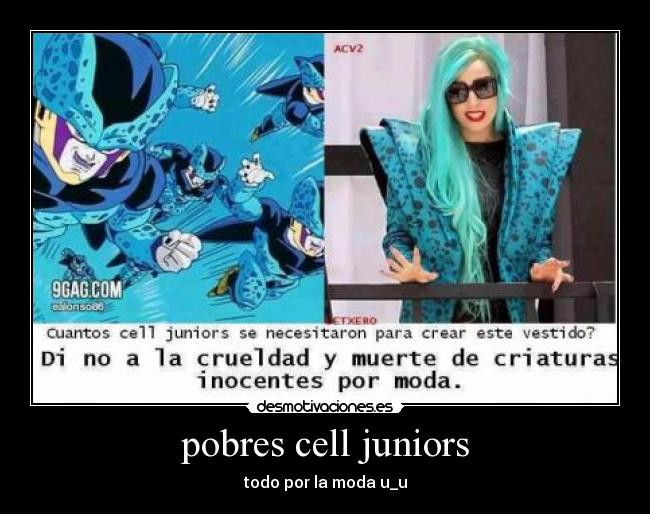 pobres cell juniors - todo por la moda u_u