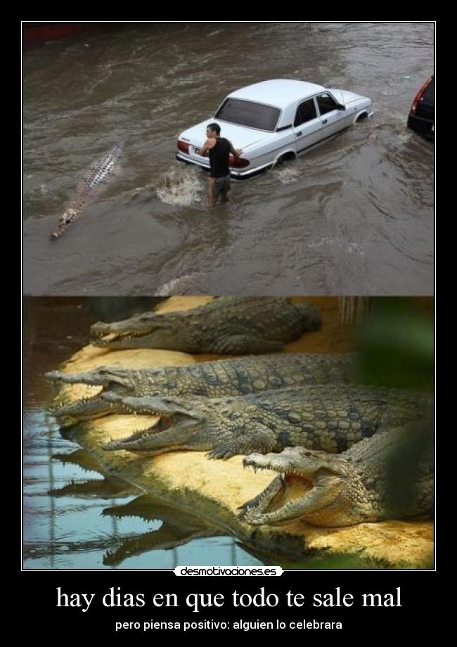 carteles coco comera desmotivaciones