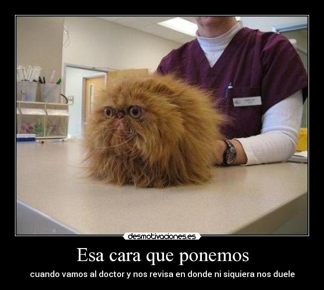 Esa cara que ponemos -