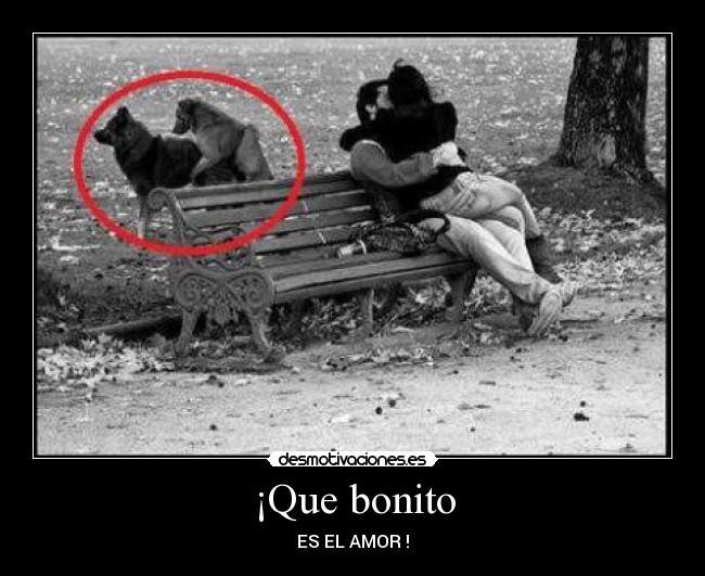 ¡Que bonito - 