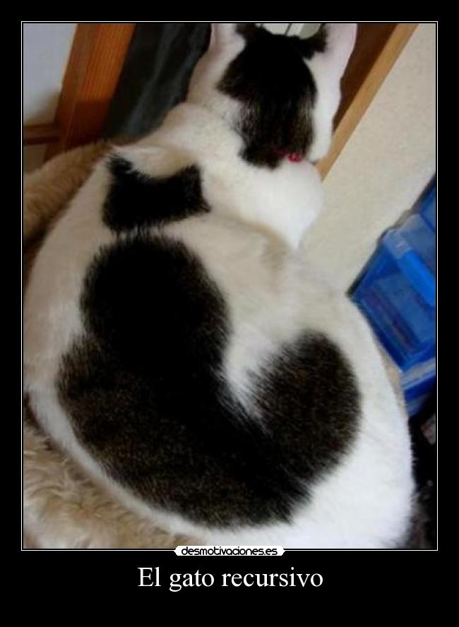 El gato recursivo -