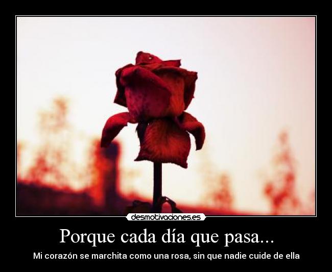 carteles goresadik pain desmotivaciones