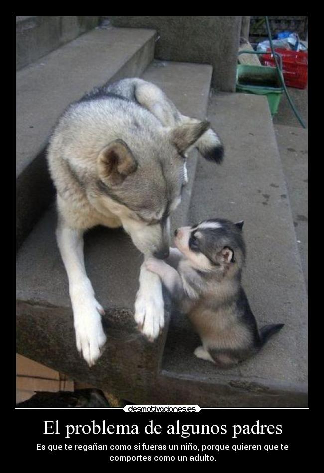 El problema de algunos padres -