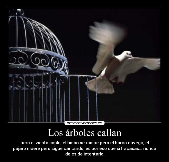 Los árboles callan - pero el viento sopla; el timón se rompe pero el barco navega; el
pájaro muere pero sigue cantando; es por eso que si fracasas... nunca
dejes de intentarlo.