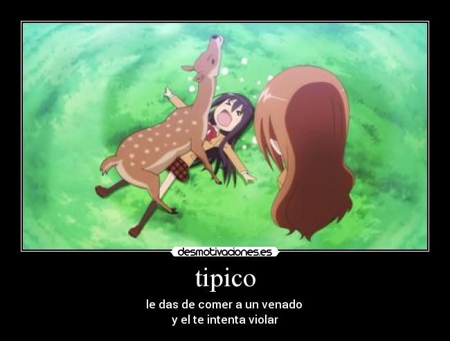 tipico -