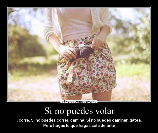 Si no puedes volar - , corre. Si no puedes correr, camina. Si no puedes caminar, gatea.
Pero hagas lo que hagas sal adelante