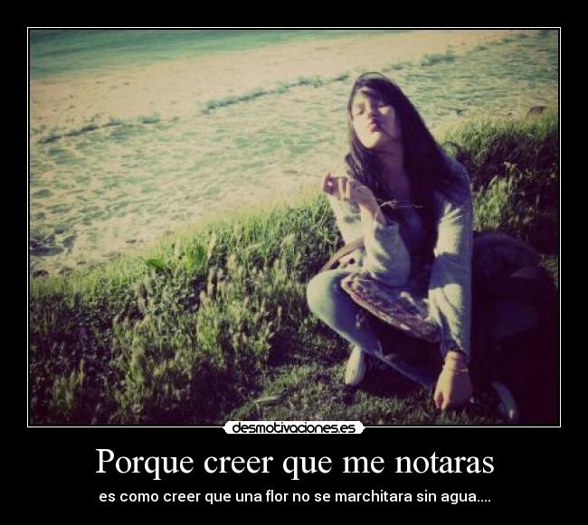 Porque creer que me notaras - es como creer que una flor no se marchitara sin agua....