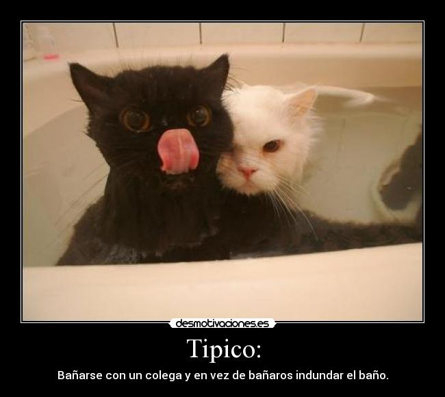 Tipico: - Bañarse con un colega y en vez de bañaros indundar el baño.