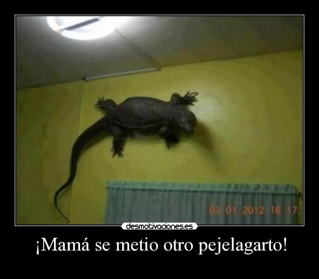 ¡Mamá se metio otro pejelagarto! carteles dsfsf desmotivaciones