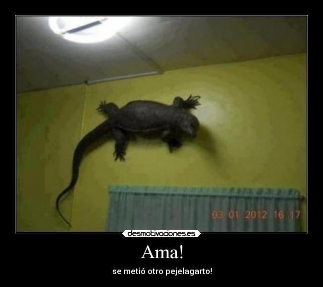 Ama! - se metió otro pejelagarto!