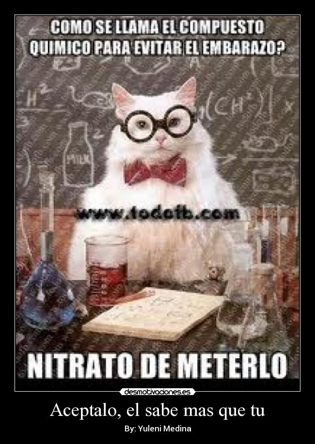 carteles yulenimedina desmotivaciones