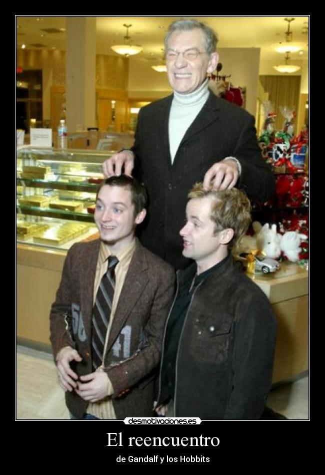 El reencuentro - de Gandalf y los Hobbits