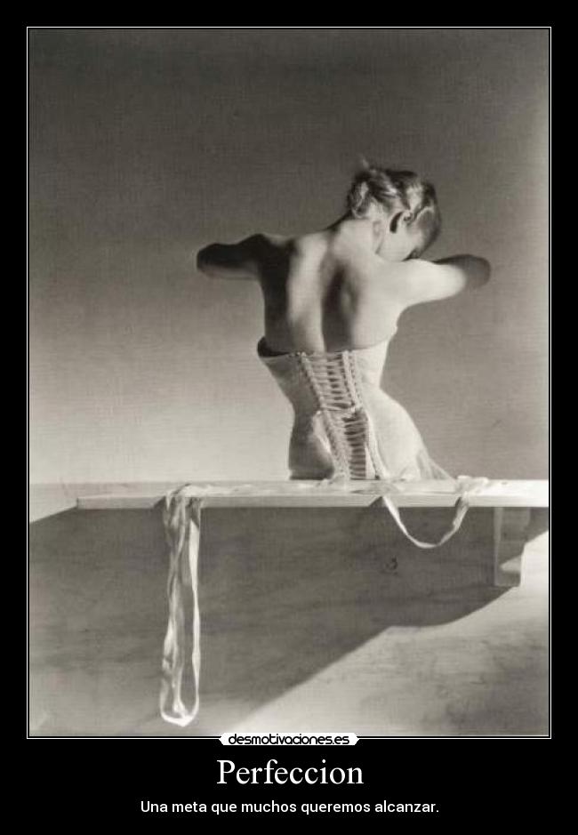 Perfeccion - Una meta que muchos queremos alcanzar.