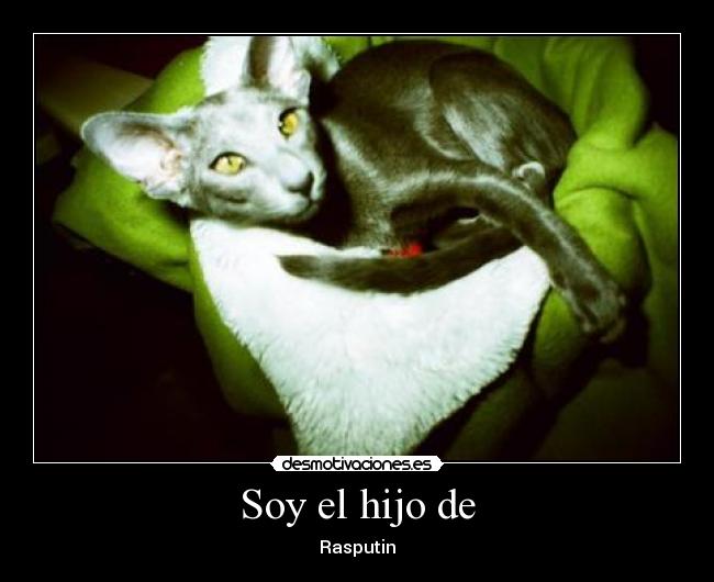 Soy el hijo de - Rasputin